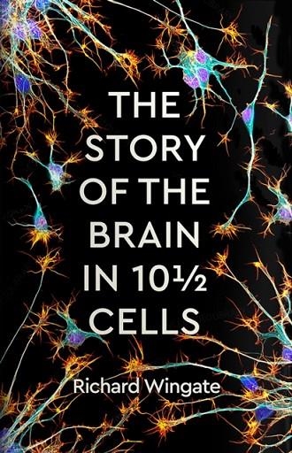 THE STORY OF THE BRAIN IN 10½ CELLS | 9781788162968 | RICHARD WINGATE