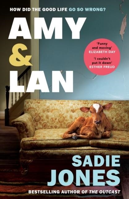 AMY AND LAN | 9781529116175 | SADIE JONES