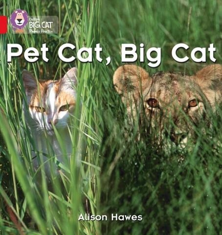 PET CAT, BIG CAT-NON-FICTION-RED - BAND 2A | 9780007235872