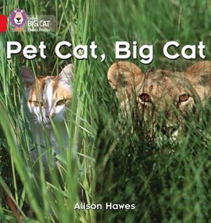 PET CAT, BIG CAT-NON-FICTION-RED - BAND 2A | 9780007235872