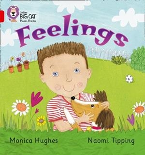 FEELINGS-NON-FICTION-RED - BAND 2B | 9780007235926