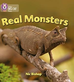 REAL MONSTERS-NON-FICTION-YELLOW - BAND 3 | 9780007235988