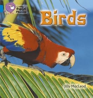 BIRDS-NON-FICTION-BLUE - BAND 4 | 9780007236046
