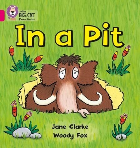 IN A PIT -FICTION-PINK - BAND 1A | 9780007334889