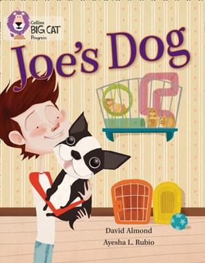 JOE'S DOG -FICTION-GOLD / COPPER | 9780007498581