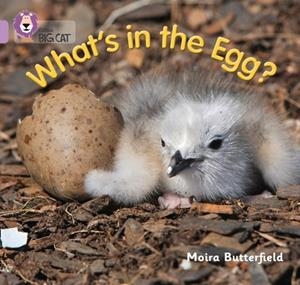 WHAT'S IN THE EGG? -NON-FICTION-LILAC - BAND 0 | 9780007512607