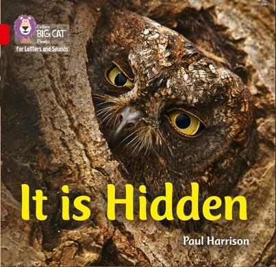 IT IS HIDDEN (SET 1)-NON-FICTION-RED - BAND 2B | 9780008251512