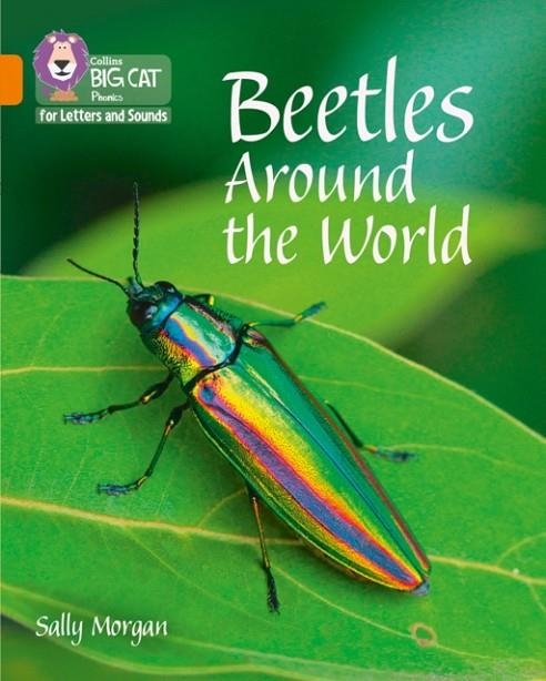 BEETLES AROUND THE WORLD (SET 1)-NON-FICTION-ORANGE - BAND 6 | 9780008251703