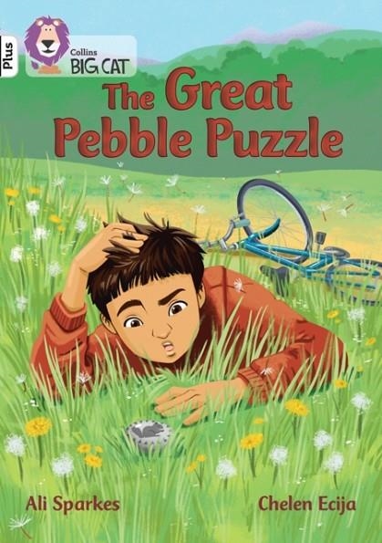THE GREAT PEBBLE PUZZLE -FICTION-WHITE PLUS - BAND 10+ | 9780008340407