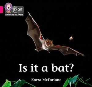 IS IT A BAT? (SET 2)-NON-FICTION-PINK - BAND 1B | 9780008351915