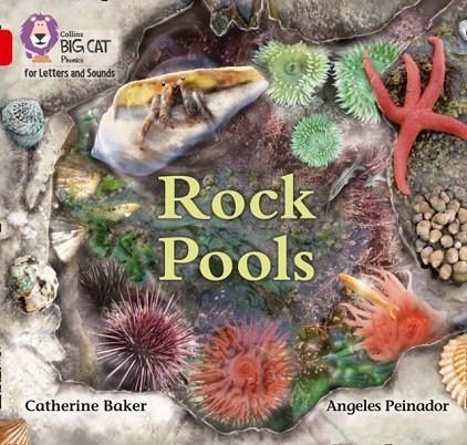 ROCK POOLS (SET 3) -NON-FICTION-RED - BAND 2B | 9780008357702