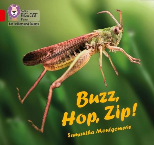 BUZZ, HOP, ZIP (SET 3) -NON-FICTION-RED - BAND 2A | 9780008381233