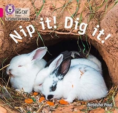 NIP IT! DIG IT! (SET 4) -NON-FICTION-PINK - BAND 1B | 9780008409777