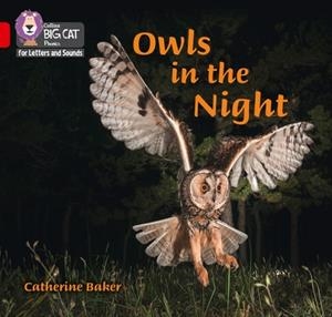 OWLS IN THE NIGHT (SET 4)-NON-FICTION-RED - BAND 2B | 9780008410230