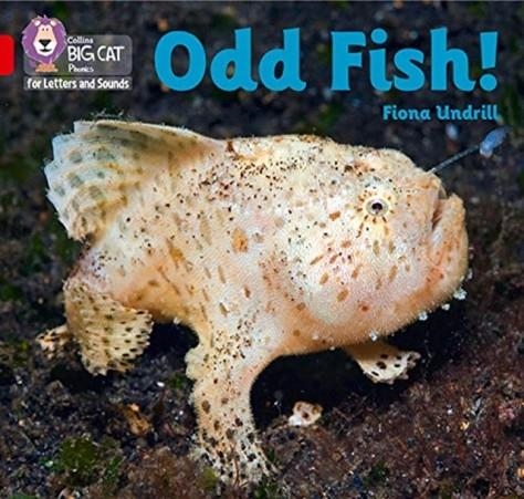 ODD FISH! (SET 4)-NON-FICTION-RED - BAND 2B | 9780008410223
