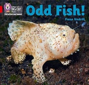 ODD FISH! (SET 4)-NON-FICTION-RED - BAND 2B | 9780008410223