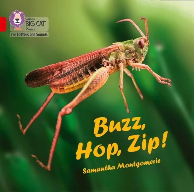 BUZZ, HOP, ZIP! (BIG BOOK EDITION)-FICTION-RED - BAND 2A | 9780008418083