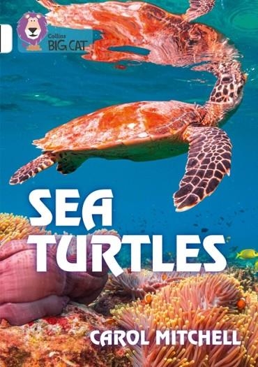 SEA TURTLES-NON-FICTION-WHITE - BAND 10 | 9780008432201