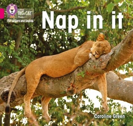 NAP IN IT (SET 5) -NON-FICTION-PINK - BAND 1A | 9780008442071