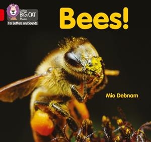 BEES! (SET 5) -NON-FICTION-RED - BAND 2B | 9780008442217