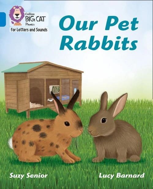 OUR PET RABBITS (SET 5) -NON-FICTION-BLUE - BAND 4 | 9780008442293