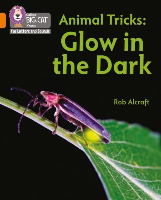 ANIMAL TRICKS: GLOW IN THE DARK (SET 5) -NON-FICTION-ORANGE - BAND 6 | 9780008442392
