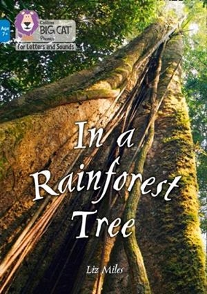 IN A RAINFOREST TREE -NON-FICTION-BLUE - BAND 4 | 9780008446352