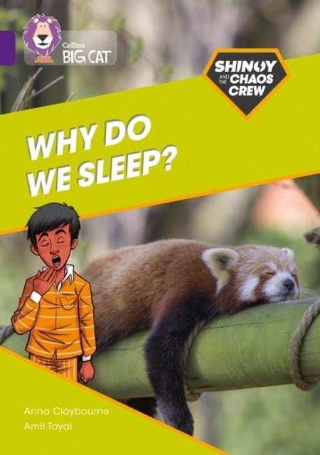 SHINOY AND THE CHAOS CREW - WHY DO WE SLEEP? -NON-FICTION-PURPLE - BAND 8 | 9780008454784