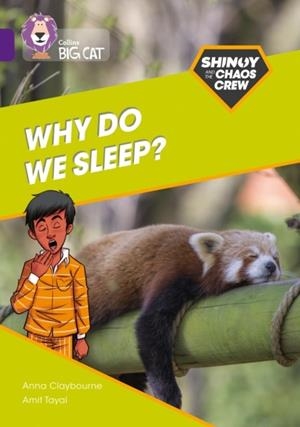 SHINOY AND THE CHAOS CREW - WHY DO WE SLEEP? -NON-FICTION-PURPLE - BAND 8 | 9780008454784