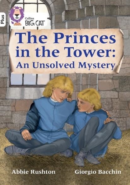 THE PRINCES IN THE TOWER: AN UNSOLVED MYSTERY -NON-FICTION-WHITE PLUS - BAND 10+ | 9780008476274