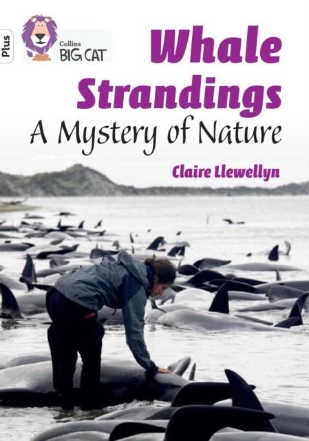 WHALE STRANDINGS: A MYSTERY OF NATURE -NON-FICTION-WHITE PLUS - BAND 10+ | 9780008485573