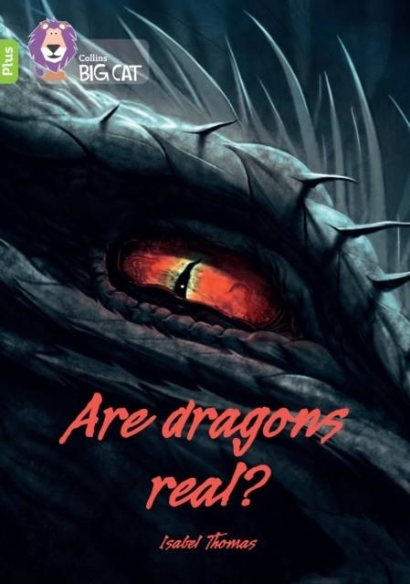 ARE DRAGONS REAL? -NON-FICTION-LIME PLUS - BAND 11+ | 9780008485641