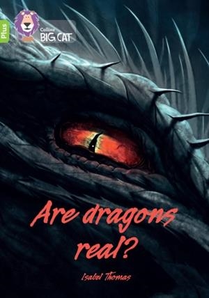 ARE DRAGONS REAL? -NON-FICTION-LIME PLUS - BAND 11+ | 9780008485641