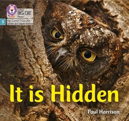 IT IS HIDDEN (SET 2)-NON-FICTION-PHASE 3 | 9780008502409