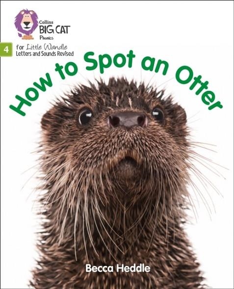 HOW TO SPOT AN OTTER (SET 2)-FICTION PHASE 4 | 9780008502645