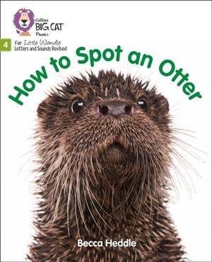 HOW TO SPOT AN OTTER (SET 2)-FICTION PHASE 4 | 9780008502645
