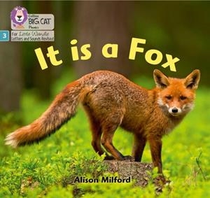 IT IS A FOX (SET 1)NON-FICTION PHASE 3 | 9780008504113