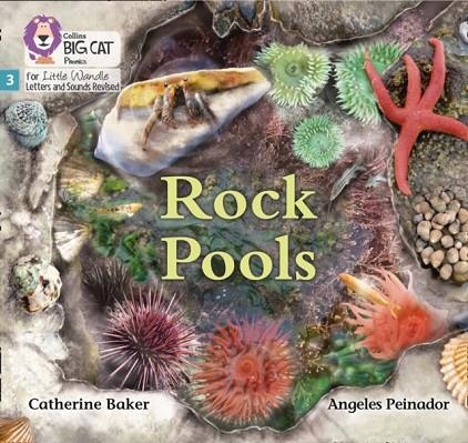 ROCK POOLS (SET 1)NON-FICTION PHASE 3 | 9780008504151