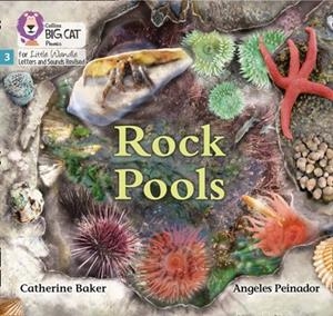 ROCK POOLS (SET 1)NON-FICTION PHASE 3 | 9780008504151
