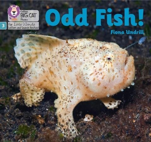 ODD FISH! (SET 1)NON-FICTION PHASE 3 | 9780008504496