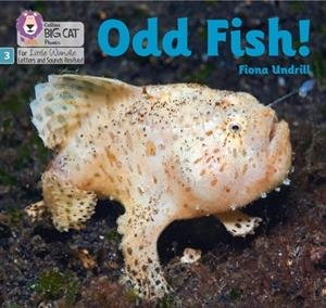 ODD FISH! (SET 1)NON-FICTION PHASE 3 | 9780008504496
