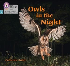 OWLS IN THE NIGHT (SET 2)NON-FICTION PHASE 3 | 9780008504502