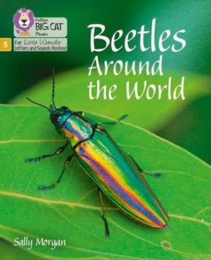 BEETLES AROUND THE WORLD (SET 4)-NON-FICTION PHASE 5 | 9780008504755