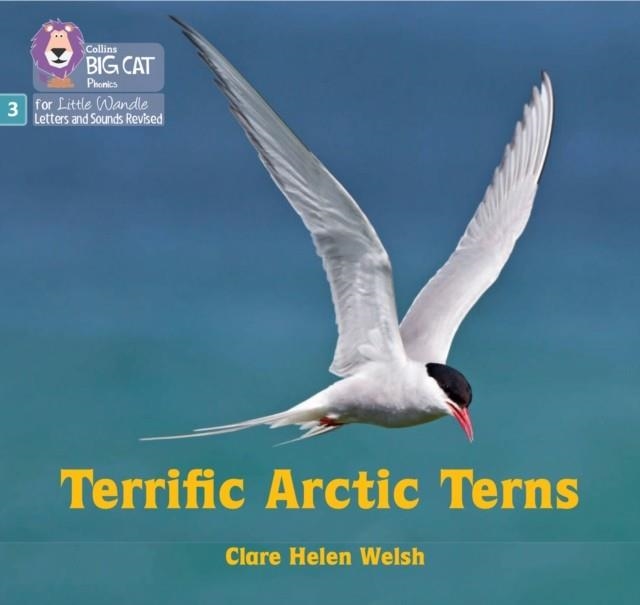 TERRIFIC ARCTIC TERNS (SET 2)-NON-FICTION-PHASE 3 | 9780008540746