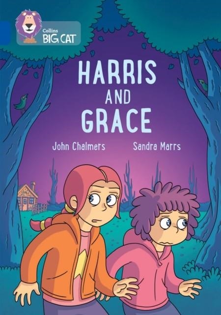 HARRIS AND GRACE -FICTION-SAPPHIRE - BAND 16 | 9780008541699
