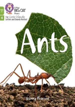 ANTS (PHASE 4 SET 2)-NON-FICTION-7+ READERS | 9780008551889