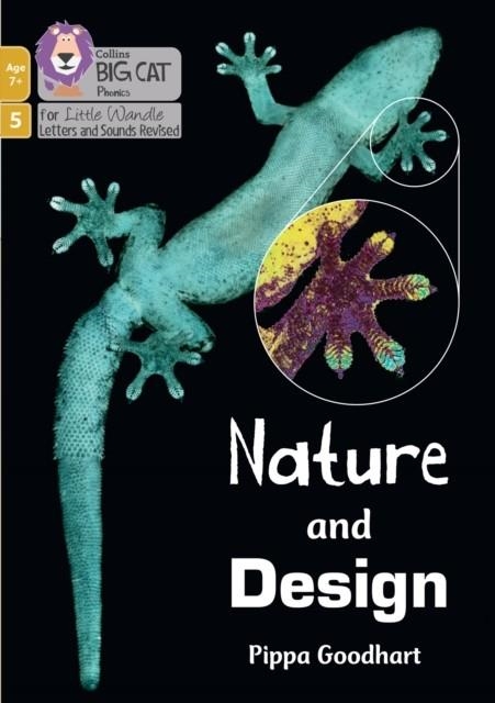 NATURE AND DESIGN (PHASE 5 SET 5)-NON-FICTION-7+ READERS | 9780008552138