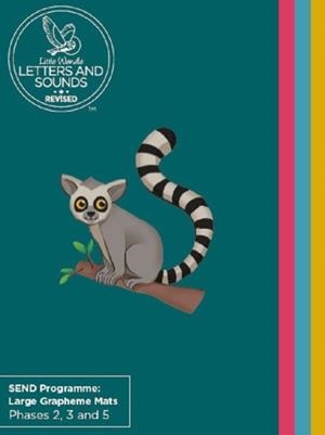 SEND GRAPHEME MAT: PHASES 2, 3 AND 5 -SEND CLASSROOM RESOURCES | 9780008582593