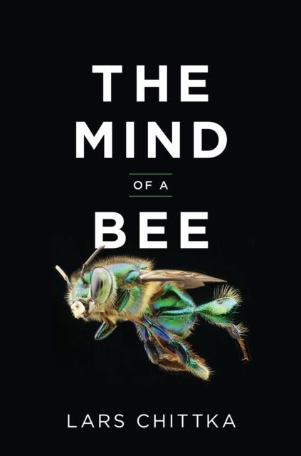 THE MIND OF A BEE | 9780691180472 | CHITTKA, LARS