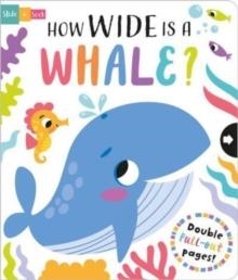 HOW WIDE IS A WHALE? | 9781801055420 | LISA REGAN